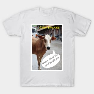 Street Cows Photography of India T-Shirt